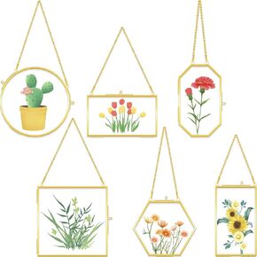 6 Pcs Brass Glass Frame for Pressed Flowers Hanging Picture Frames with Chain Clear Double Glass Frame Gold Floating Frame Artwork Display Frame for Gallery Wall Decor Dried Plant Leaf, 6 Shapes