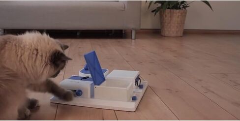 TRIXIE Cat Activity Brain Mover, Strategy Game for Mental Stimulation, Interactive Play for Cats, Treat Dispenser, Cat Toy in Saudi Arabia