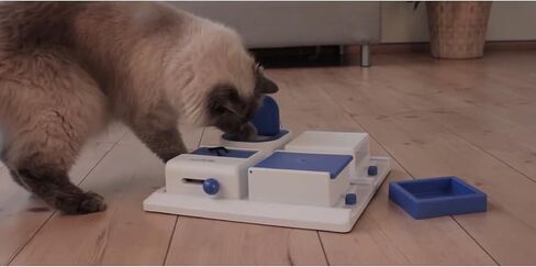 TRIXIE Cat Activity Brain Mover, Strategy Game for Mental Stimulation, Interactive Play for Cats, Treat Dispenser, Cat Toy in Saudi Arabia