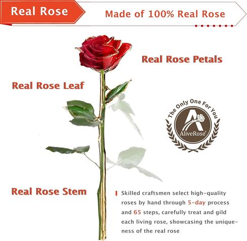 AliveRose Valentines Day Gifts for Her Rose, 24K Gold Rose Made from Real Rose - Unique Design Gold Plated Rose for Anniversary Valentines (Red Original Rose with Stand) in Saudi Arabia