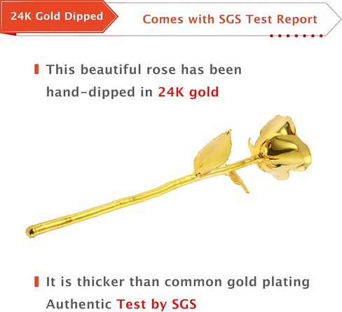 AliveRose Valentines Day Gifts for Her Rose, 24K Gold Rose Made from Real Rose - Unique Design Gold Plated Rose for Anniversary Valentines (Red Original Rose with Stand) in Saudi Arabia