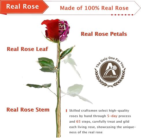AliveRose Valentines Day Gifts for Her Rose, 24K Gold Rose Made from Real Rose - Unique Design Gold Plated Rose for Anniversary Valentines (Red Original Rose with Stand) in Saudi Arabia