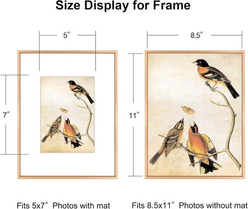 مجموعة إطارات صور مقاس 3.5 × 5 مكونة من 3، إطارات صور معدنية سوداء مع زجاج عالي الدقة، تناسب مقاس 2.5 × 3.5 مع حصيرة أو 3.5 × 5 بدون حصيرة، معلقة على الحائط وعرض الطاولة in Saudi Arabia