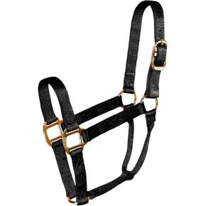 Halter Qlty Econo Black