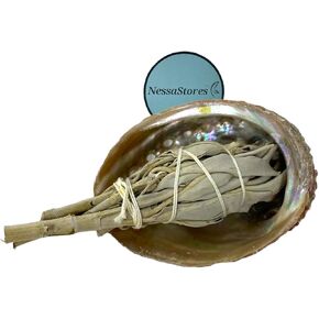 2 pc | Abalone Shell 2.5"-3.5" Inches & Tripod Stand 4" Inches | Beautiful All Natural Smudge Bowl - Perfect for Smudge Sticks, Incense Sticks and a Sage Smudge Kit. JC-210-D
