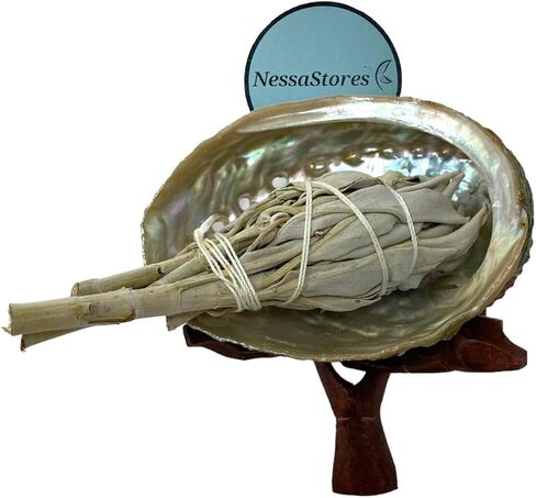 NESSASTORES - مجموعة التلطخ بحجم مناسب للسفر - صدفة أذن البحر 3"-4" + حامل خشبي 4" + 3 قطع من المريمية البيضاء 3"-4" + 2 قطعة Palo Santo #JC-210 (مجموعة واحدة) in Saudi Arabia