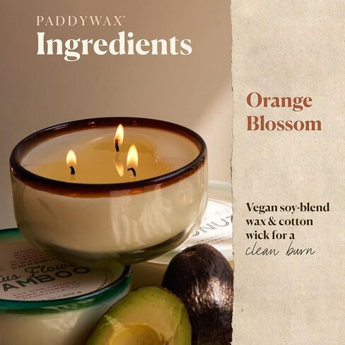 Paddywax La Playa Artisan Hand-Poured Scented Candle, 14-Ounce, Amber Rim-Orange Blossom in Saudi Arabia
