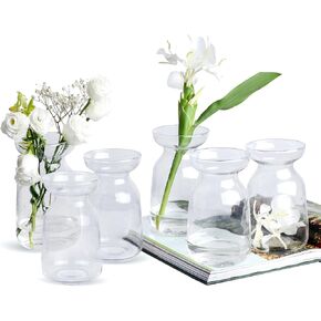 Iridescent Glass Vase Set of 6, Small Clear Glass Bud Vases for Flowers, Mini glass vases for centerpieces cheap bulk, Modern Decorations for Wedding, Home Decor with 1 Brush and 6 Coasters in Kuwait