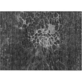 Addison Rugs Chantille ACN652 Charcoal 1'8" x 2'6" Indoor Outdoor Area Rug, Easy Clean, Machine Washable, Non Shedding, Bedroom, Entry, Living Room, Dining Room, Kitchen, Patio Rug