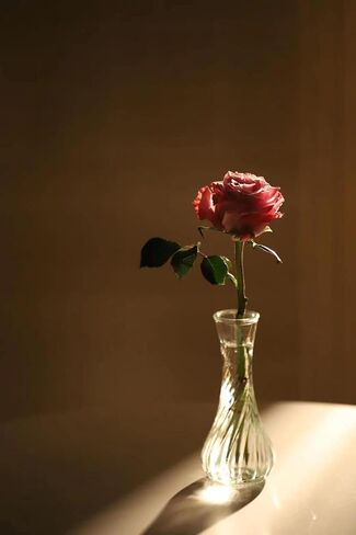 Set of 6 Small Glass Vase Set, Petite Bud Vases for Floral Arrangements, Weddings, Flowers, Home Decor or Office (Red) in Saudi Arabia