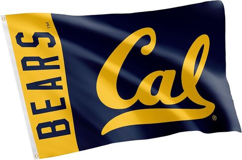 Desert Cactus University of California Berkeley Flag Golden Bears Cal UC Flag Banners 100% Polyester Indoor Outdoor 3x5 feet Flags (Team Name) in Saudi Arabia