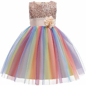 Flower Girls Sequin Party Dress Rainbow Mesh Tulle Princess Lace Ball Gown Prom