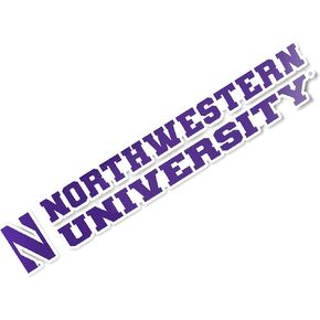 Desert Cactus Northwestern University Wildcats Name Logo Vinyl Decal Laptop Water Bottle Car Scrapbook (8 Inch Sticker)