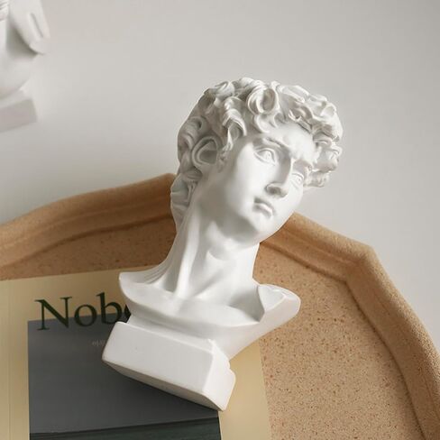Greek Statue of David, Small Classic Roman David Statue Greek Bust Face Vase Head Cute Room Decor Aesthetic Vintage Home Decor Gifts for Women Coquette Room Decor for Living Room 6.3'' in Saudi Arabia