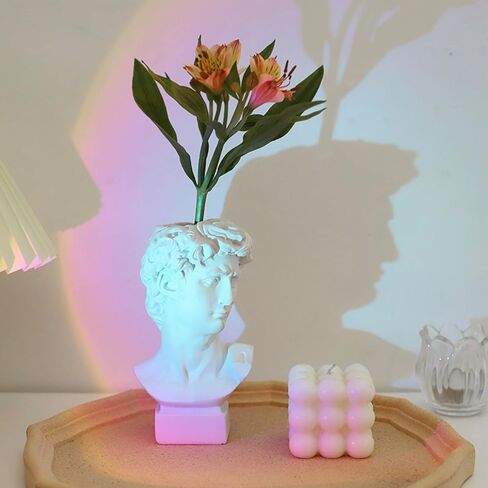 Greek Statue of David, Small Classic Roman David Statue Greek Bust Face Vase Head Cute Room Decor Aesthetic Vintage Home Decor Gifts for Women Coquette Room Decor for Living Room 6.3'' in Saudi Arabia
