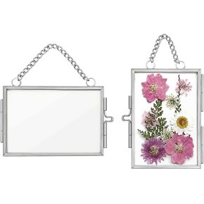 2Pcs Double Glass Frame for Pressed Flowers, 2x3 inch Picture Frame Mini Brass Wall Hanging Photo Frame Floating Frame with Chain for Plant Specimen Artwork Display Home Wall Decor (Sliver)