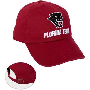 Desert Cactus Florida Institute of Tech Baseball Hat Panthers Tech Technology Embroirderd Hats Cap Adjustable Cloth Strap Adult (Style A) Red