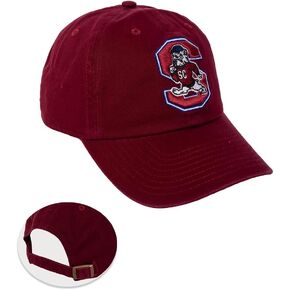 Desert Cactus South Carolina State University Baseball Hat SCSU Bulldogs Brimmed Embroirderd Cap Adjustable Cloth Strap Adult (Style A) Red
