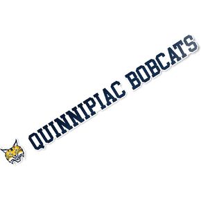 Desert Cactus Quinnipiac University QU Bobcats Name Logo Vinyl Decal Laptop Water Bottle Car Scrapbook (15 Inch Sticker)