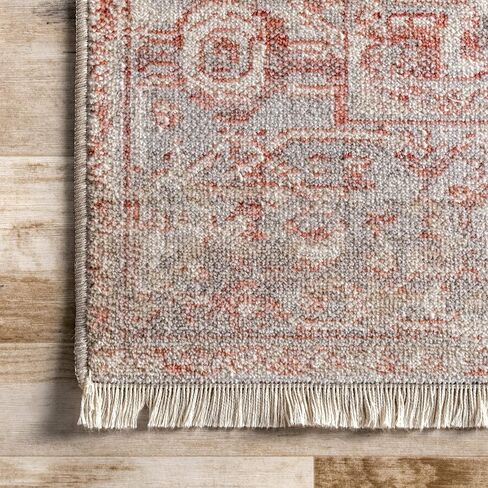 سجادة NuLOOM Harriet ذات ميدالية عتيقة ذات هامش - سجادة منطقة 5 × 8 سجاد تقليدي أحمر / متعدد الألوان لغرفة المعيشة وغرفة النوم وغرفة الطعام والمطبخ in Saudi Arabia