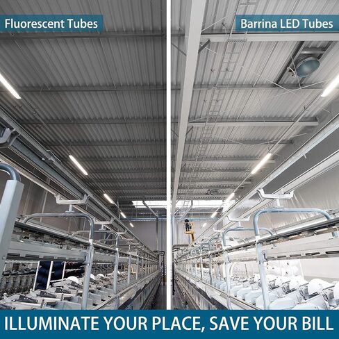 Barrina 8 Packs T8 LED Bulbs 4 Foot G13 24W 6000K Cool Daylight, T8 T10 T12 4FT Fluorescent Light Bulbs, Dual-End Powered, Replacement for Fluorescent Tubes, Remove Ballast, Clear Cover, ETL Listed in Saudi Arabia