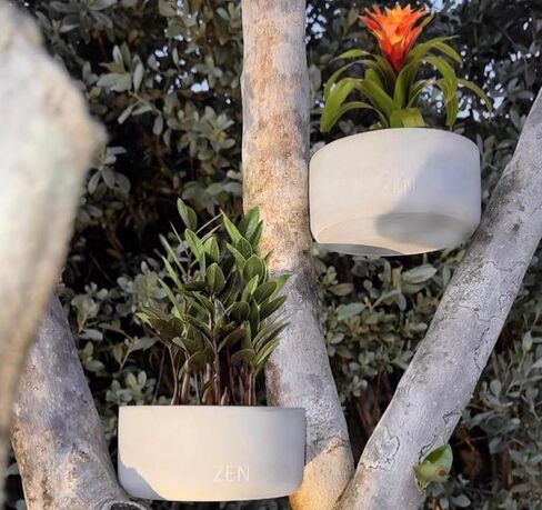 Zen Candles - Concrete Plant Pot Decor Reusable Amber Wood Jasmine Baccarat Rouge Sandalwood Violet Le Labo Santal Oud Vanilla Bond Nomad Musk Rose (Musky Amber & Rose, Medium), Gray in Saudi Arabia