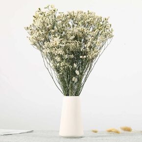 Dried Flowers Babys Breath Bouquet, Natural White Dry Flowers – 17'' 1800+ Ivory Flowers, Preserved Gypsophila Branches for Wedding, Farmhouse Vase Decor, DIY Wreath Floral, Home Party Decoration