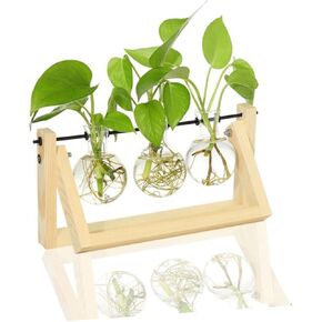 Artibetter Wood Decor Tabletop Plant Stand Clear Stand Tabletop Glass Planter Glass Air Planter Bulb Terrarium Vase Plant Holder Bulb Vase Plant Pot Container Flowerpot Decorate Glass Shelf