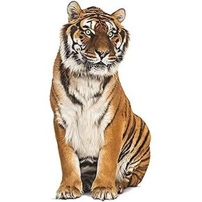 Tiger Wall Decal Sticker for Bedroom Kids Room, Tiger Decorations for Home Living Room Bedroom Playroom