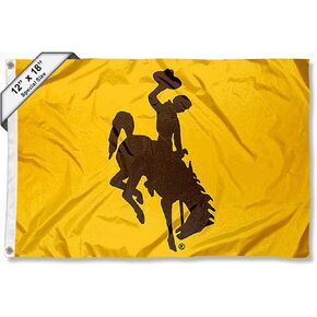 Wyoming Cowboys Boat and Nautical Flag
