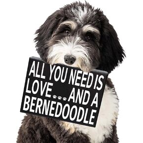 JennyGems Bernedoodle Gifts, All You Need Is Love and a Bernedoodle Wooden Sign, Shelf Decor and Wall Hanging, Made in USA