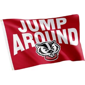 Desert Cactus University of Wisconsin Flag Badgers UW Madison Flag Banners 100% Polyester Indoor Outdoor 3x5 feet Flags (Design A)
