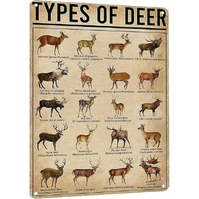 Rustic Types Of Deer Metal Sign, Vintage Farmhouse Wall Art Tin Sign - Hunting Decor & Educational Poster for Home, Man Cave, and Bar 8x12 Inches