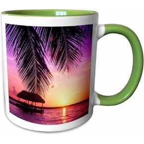3dRose John Pennekamp State Park, Key West, Florida-US10 GJO0522-Greg Johnston Two Tone Mug, 11 oz, Blue/White