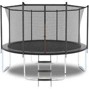 Livavege Trampolines 10FT Trampoline with Safety Enclosure Net & Ladder, Outdoor Trampoline for Kids and Adults with Heavy Duty Jumping Mat and Spring Cover Padding, 400LBS, ASTM Approved