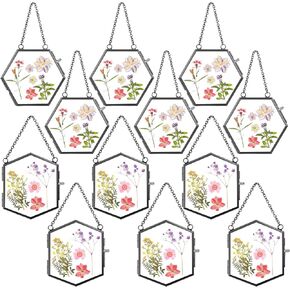 12 Pcs Double Glass Frame for Pressed Flowers Floating Hanging Photo Frame 3.7 x 3.2 Dried Clear Pressed Flower Glass Picture Frame for Photo Herbarium Plants DIY Artwork Display (Black)