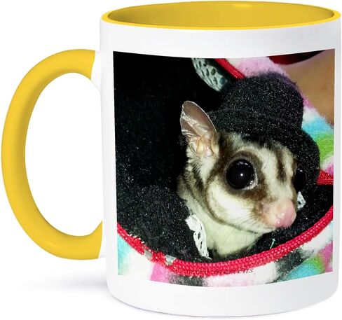 3dRose Sugar Glider Wearing A Top Hat Peaking Out of A Pouch Two Tone Mug, 11 oz, Black in Saudi Arabia
