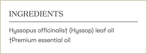 زيت الزوفا العطري من يونج ليفينج - 5 مل - علاج عطري للإبداع والتأمل - رائحة هادئة - رائحة زهرية مقدسة ونعناع - يمتزج مع الاستيقاظ وإيمو باور وتخفيفه in Saudi Arabia