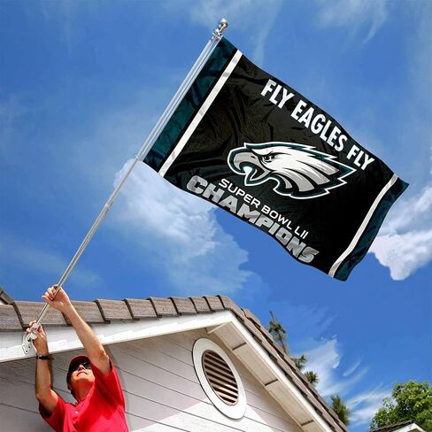 Philadelphia Eagles Fly Eagles Fly Super Bowl Champions Banner and Tapestry Wall Tack Pads in Saudi Arabia