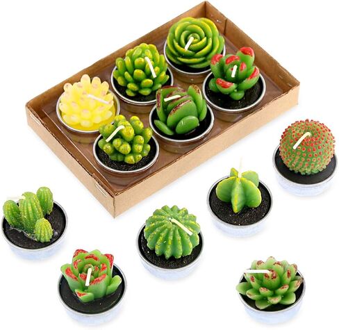 Swpeet 12Pcs Decorative Succulent Cactus Tealight Candles Kit, Cute Smokeless Succulent Plants Perfect for Candles Festival Wedding Props and House-Warming Party in Saudi Arabia
