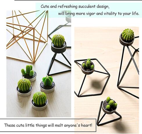 Swpeet 12Pcs Decorative Succulent Cactus Tealight Candles Kit, Cute Smokeless Succulent Plants Perfect for Candles Festival Wedding Props and House-Warming Party in Saudi Arabia
