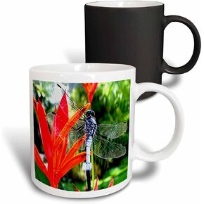 3dRose 3dRose Dragon Fly - Two Tone Black Mug, 11oz , , Black/White