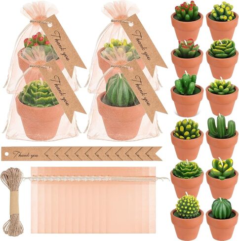 12 Pieces Succulent Candle Mini Cactus Tealight Candles Succulent Party Favors Novelty Fiesta Terrarium Plant Candles with Terracotta Pot Organza Bag Tags Twine for Birthday Wedding Baby Shower Party in Saudi Arabia