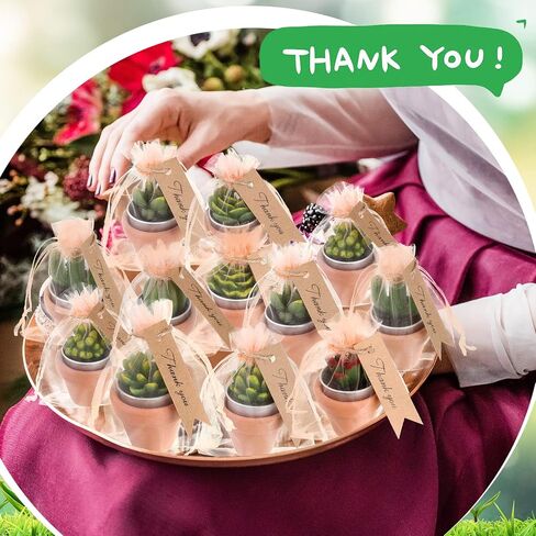 12 Pieces Succulent Candle Mini Cactus Tealight Candles Succulent Party Favors Novelty Fiesta Terrarium Plant Candles with Terracotta Pot Organza Bag Tags Twine for Birthday Wedding Baby Shower Party in Saudi Arabia