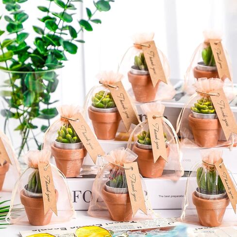12 Pieces Succulent Candle Mini Cactus Tealight Candles Succulent Party Favors Novelty Fiesta Terrarium Plant Candles with Terracotta Pot Organza Bag Tags Twine for Birthday Wedding Baby Shower Party in Saudi Arabia