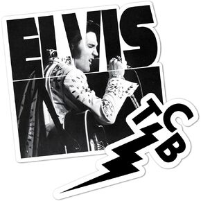 Desert Cactus Elvis Presley Sticker Vinyl Decal Laptop Water Bottle Car Scrapbook (4 Inch) (Version 3)