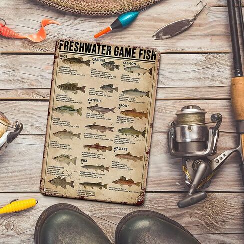 Fishing Signs Fishing Gear and Equipment Fishing Accessories - Education is important But Fishing is Importanter - Fishing Gifts for Men 12x8 Inches Cabin Decor Man Cave Decor Ice Fishing Tin Sign in Kuwait