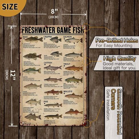Fishing Signs Fishing Gear and Equipment Fishing Accessories - Education is important But Fishing is Importanter - Fishing Gifts for Men 12x8 Inches Cabin Decor Man Cave Decor Ice Fishing Tin Sign in Kuwait