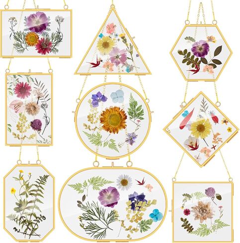 Reginary 9 Pcs Pressed Flowers Glass Frames Double Glass Hanging Floating Frames Gold DIY Brass Artwork Display Frames for Dried Plant Flowers Specimen Gallery Photo Display Wall Decor in Saudi Arabia