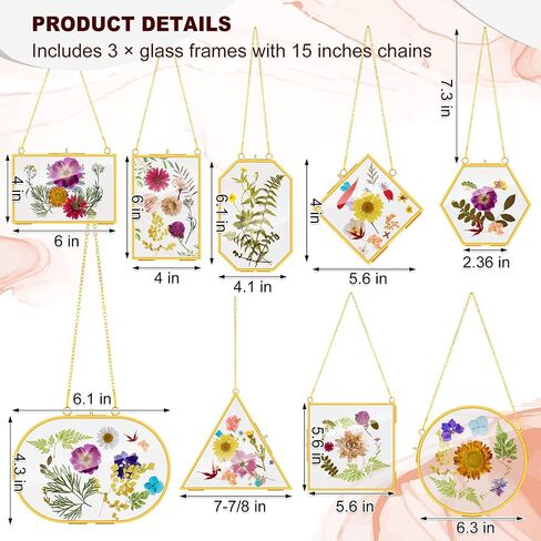 Reginary 9 Pcs Pressed Flowers Glass Frames Double Glass Hanging Floating Frames Gold DIY Brass Artwork Display Frames for Dried Plant Flowers Specimen Gallery Photo Display Wall Decor in Saudi Arabia